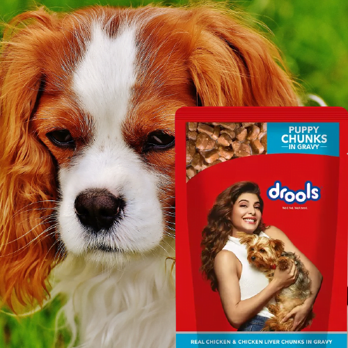 Pet Products Brands in India 2024