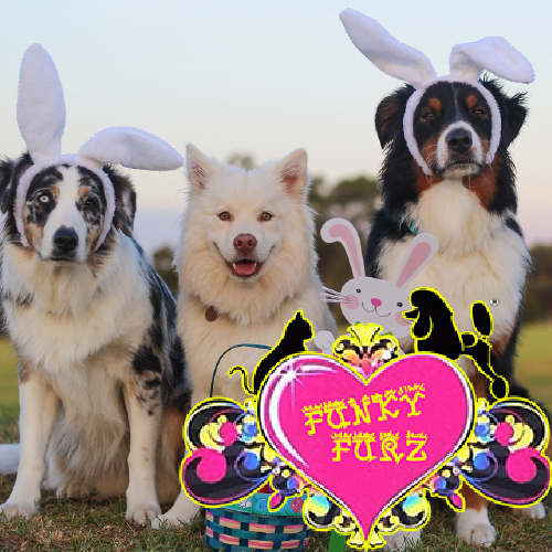 Pet Products Brands in India 2024