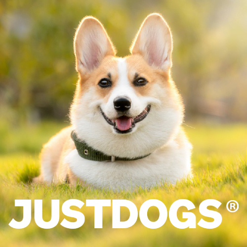 Pet Products Brands in India 2024