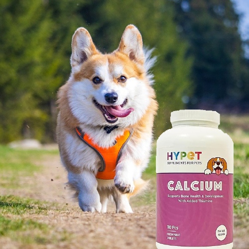 Pet Products Brands in India 2024
