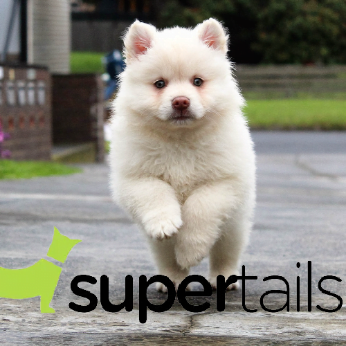 Pet Products Brands in India 2024